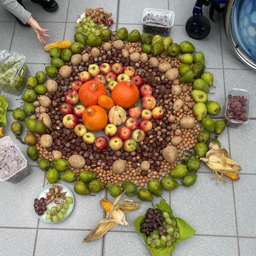 Das Fotos zeigt das Herbstmandala aus den mitgebrachten Früchten.