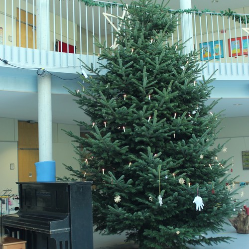 Das Bild zeigt den Weihnachtsbaum im Forum.