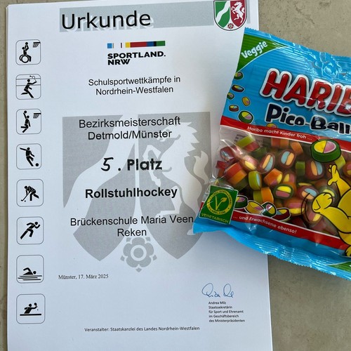 Das Foto zeigt  die Urkunde des Rollstuhl-Hockeyturniers .