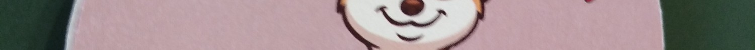 Das Bild zeigt eine Halskette mit einem Bild von einem Erdmännchen.