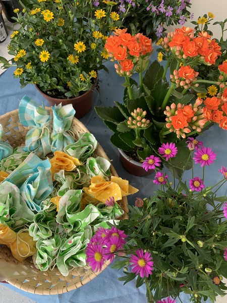 Das Foto zeigt die selbstgezogenen Blumen , die verkauft wurden.