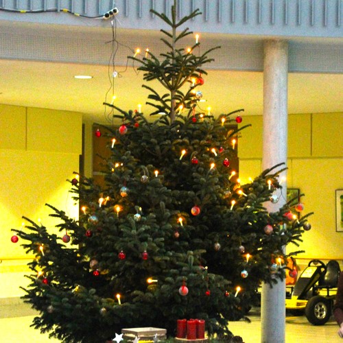 Das Foto zeigt  den Weihnachtsbaum im Forum.